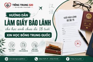 giay bao lanh chua du 18 tuoi