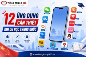 ung dung can thiet khi du hoc trung quoc 13